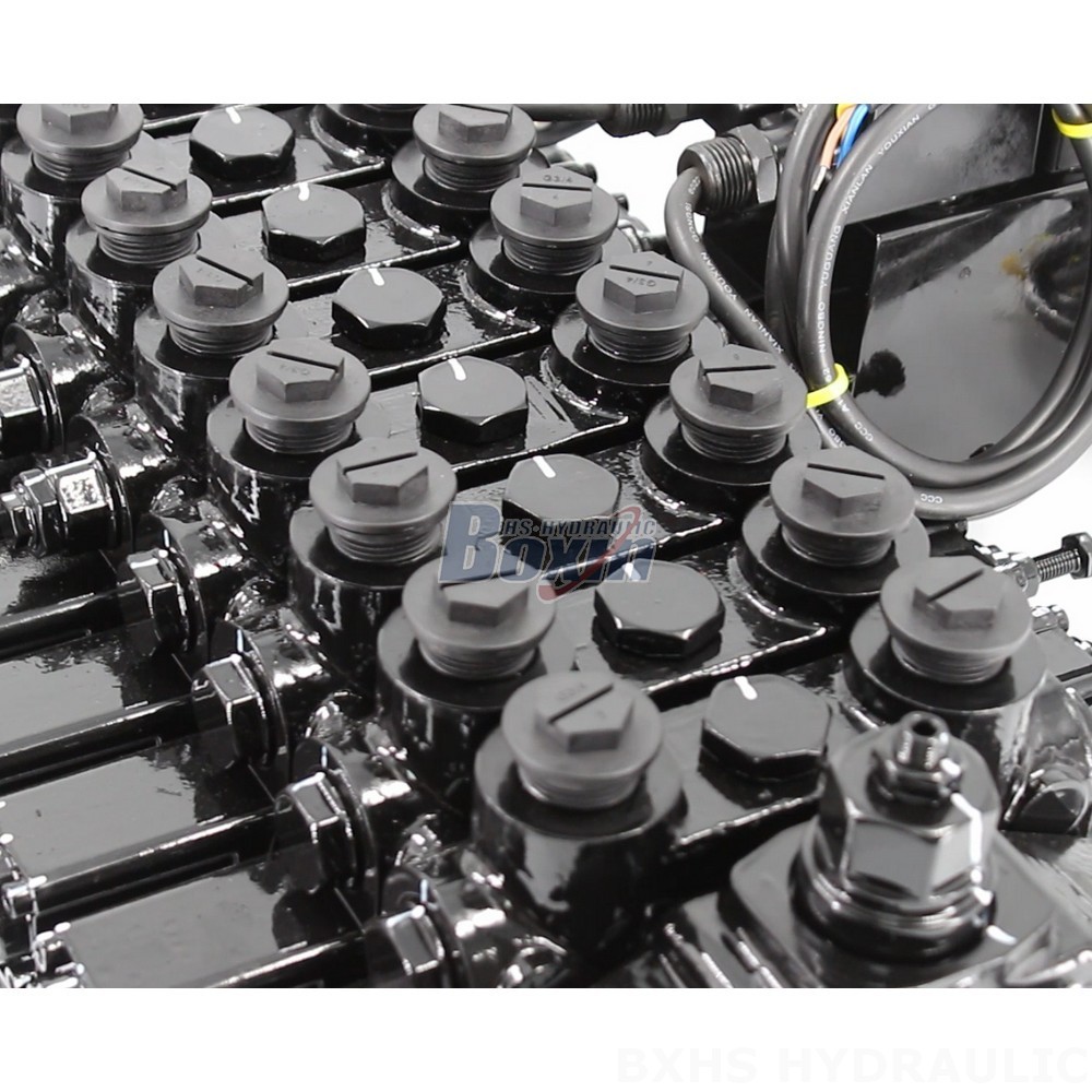 Explore Partnership Opportunities: Collaborate on DCV150-10-NPT Hydraulic Valve Distribution detail image